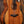 Taylor 50th Anniversary 924ce Koa + Approx. 74 Amplifier Set
