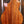 Taylor 50th Anniversary 924ce Koa + Approx. 74 Amplifier Set