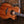 Taylor 50th Anniversary 924ce Koa + Approx. 74 Amplifier Set
