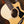 Taylor 212ce Plus