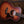 Taylor GS MINI Sunset Boulevard Limited Edition