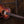 Taylor GS MINI Sunset Boulevard Limited Edition