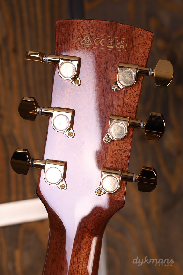 Ibanez AW391RCE-BKH