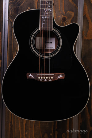 Ibanez AC391RCE-BKH