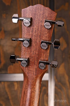 Taylor Gold Label 510e