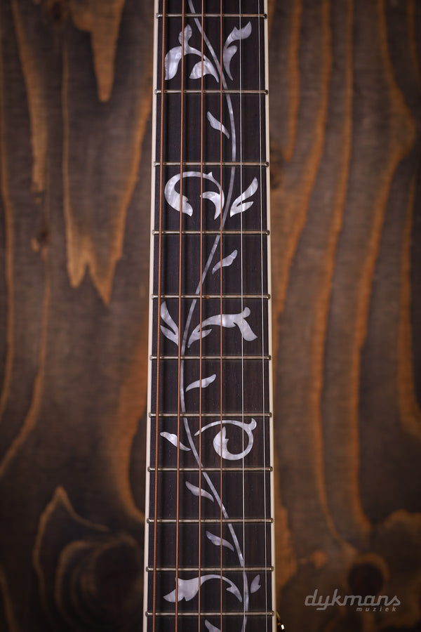 Ibanez AC391RCE-BKH