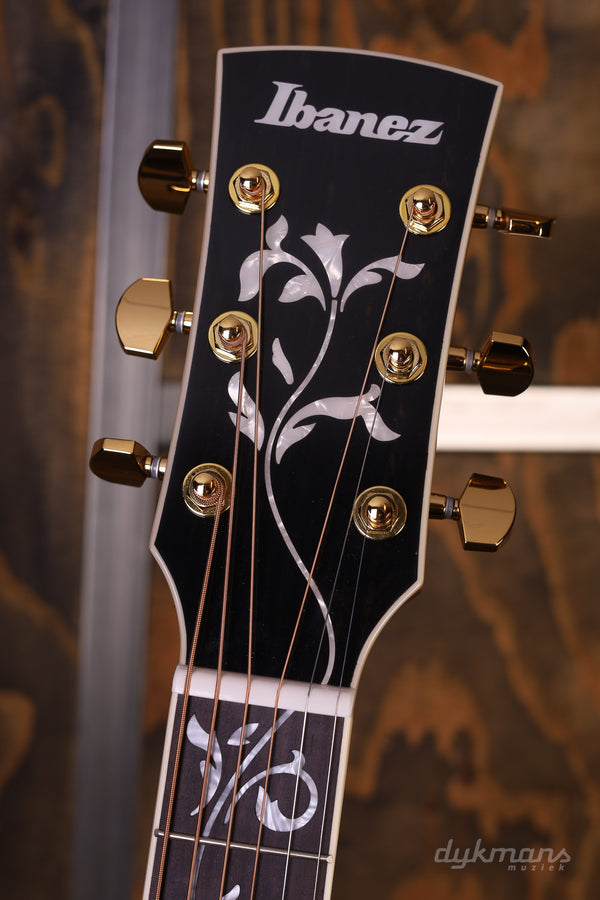 Ibanez AC391RCE-BKH