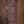 Eastman D'Ambrosio SC '62 Kingtone Shoreline Gold