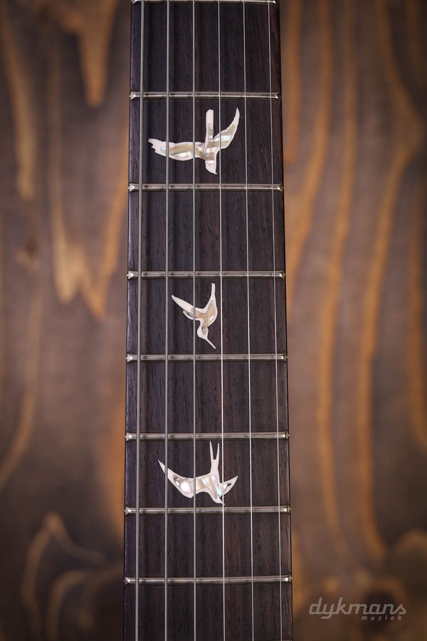 PRS Special 22 Semi-Hollow Fire Smokeburst