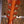 Ibanez PM3C Natural Amber Low Gloss Pat Metheny