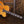 Ibanez PM3C Natural Amber Low Gloss Pat Metheny