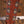 Martin Custom Shop Cherry Hill 000-14
