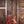 Patrick James Eggle Macon Single Cut Semi-Hollow Quilted Sapele
