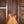 Patrick James Eggle Macon Single Cut Faded Gold Burst