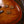Novo Serus P2 Carve Top Flamed Maple Faded Tea Burst