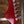 Novo Serus P2 Carve Top Flamed Maple Faded Tea Burst