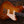 Novo Serus P2 Carve Top Flamed Maple Faded Tea Burst