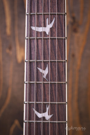 PRS SE Zach Myers Elderberry Burst 2026