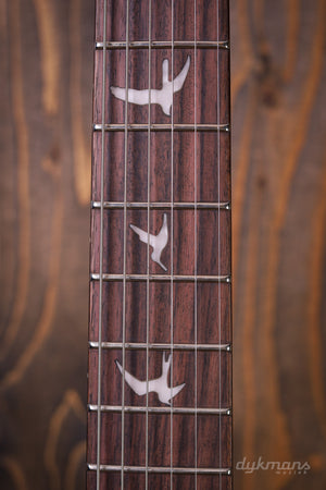 PRS SE DGT McCarty Tobacco Sunburst 2026