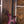 Strandberg Boden Prog NX7 Twilight Purple