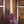 Strandberg Boden Prog NX7 Twilight Purple