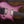 Strandberg Boden Prog NX7 Twilight Purple
