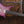 Strandberg Boden Prog NX7 Twilight Purple