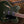 Gretsch G5622 Electromatic Olive Metallic