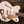 Gretsch Electromatic Pristine LTD White Gold