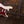 Suhr Classic S Swamp Ash Limited Olympic White