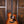 Taylor Sunset Blvd 214ce DLX SEB