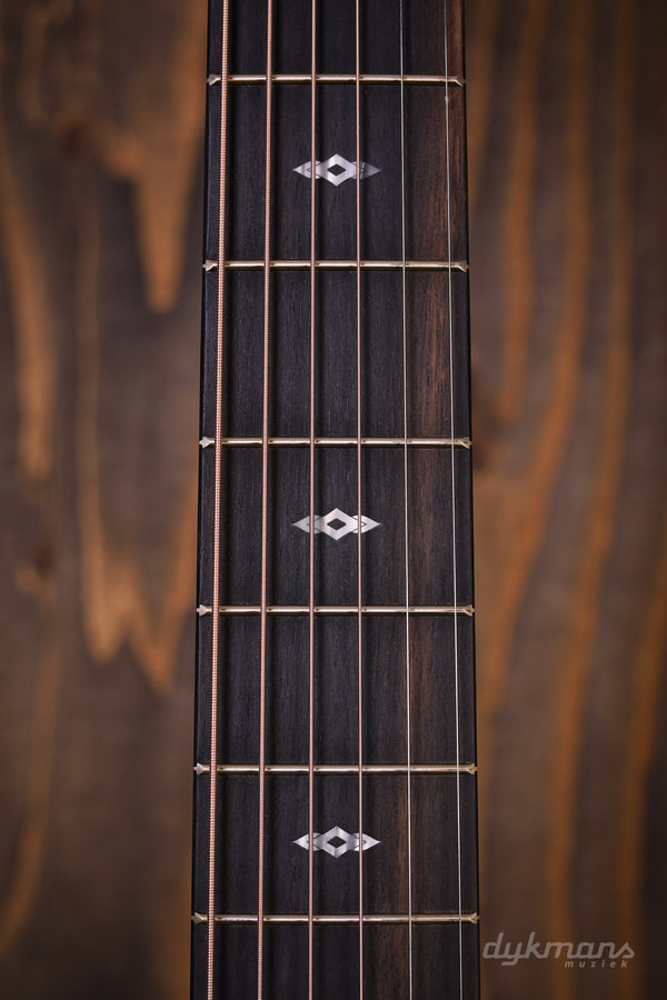 Taylor Sunset Blvd 214ce DLX SEB