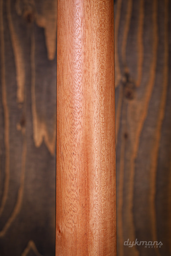 Taylor Sunset Blvd 214ce DLX SEB