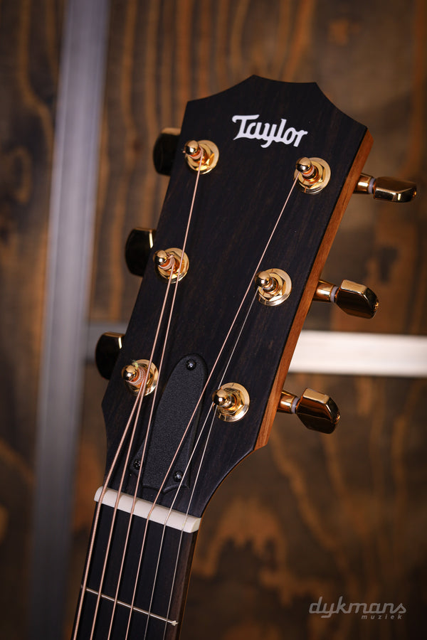 Taylor Sunset Blvd 214ce DLX SEB