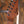 Suhr Andy Wood HH Whiskey Barrel