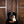 Taylor 514 Gold Label