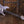 Ibanez TOD70 Tim Henson Signature 7-String