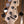 Sandberg California II TM SL 5 Paulownia Matt Tobacco Burst