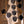 Sandberg California II TM SL 5 Paulownia Matt Tobacco Burst