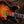Eastman T59/v-SB