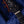 PRS Wood Library Modern Eagle V Burnt Maple Leaf Satin