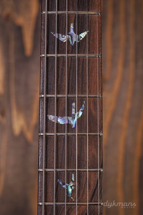 PRS Wood Library Hollowbody II Copperhead Burst 10-Top