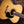 Martin Custom Shop OOO 14-Fret Wild Grain Indian Rosewood