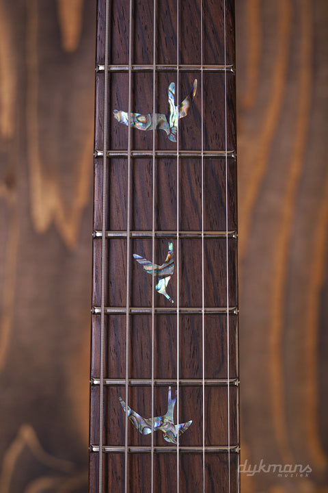 PRS Wood Library Modern Eagle V Aquableux