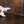The Gier Bebop 4 Silver Green