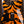 Wayne Guitars(Charvel) Rock Legend Bengal Tiger 2010 PRE-OWNED!