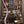 Jackson Custom Shop Soloist 
