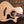 Taylor 312ce 12 fret