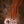 Fender 1969 Precision Bass Sunburst PRE-OWNED