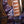 Mayones Jabba Custom 5 Custom Color Eye Poplar